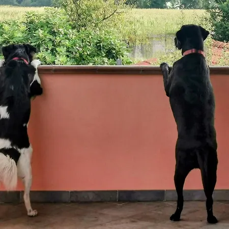 Orto Del Pettirosso Appartement Front