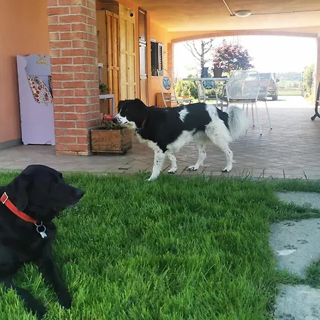 شقة Orto Del Pettirosso Front