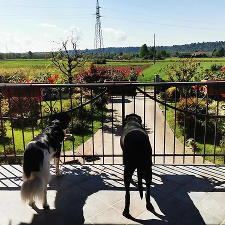 Orto Del Pettirosso *