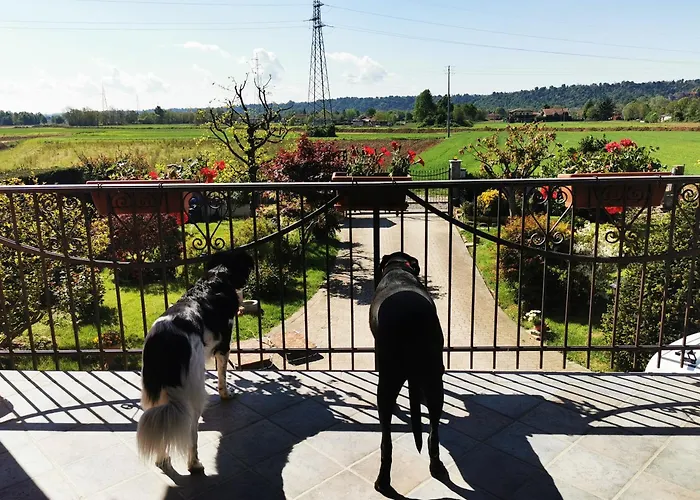 Orto Del Pettirosso *