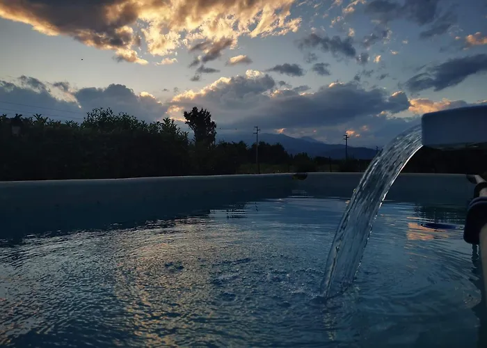 Orto Del Pettirosso Front